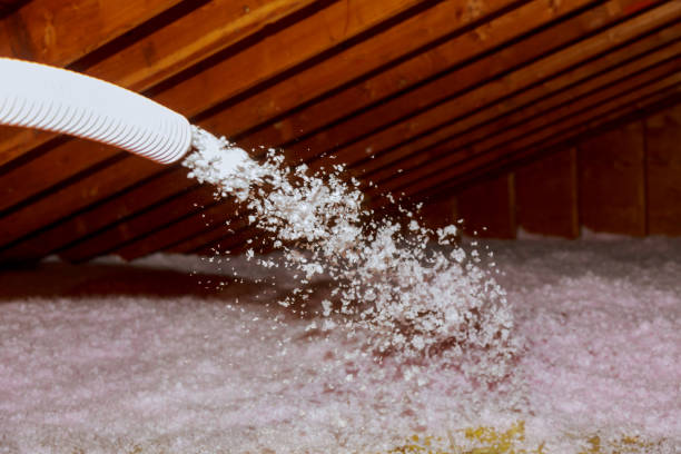 Best Insulation Removal Services  in Columbus, NC