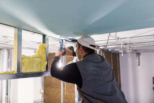 Best Cellulose Insulation  in Columbus, NC