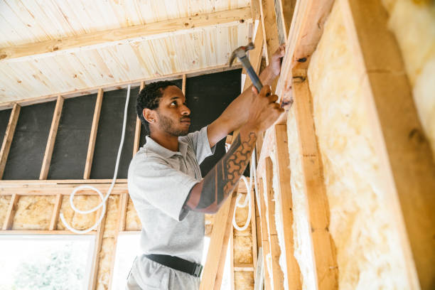 Best Home Insulation Services  in Columbus, NC