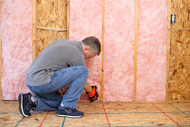 Best Professional Insulation Contractor  in Columbus, NC
