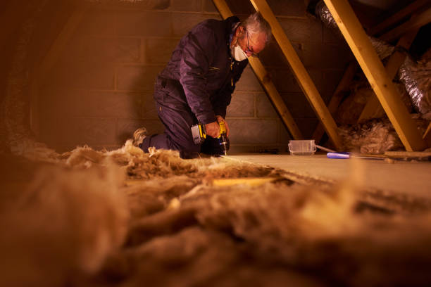 Best Attic Insulation Near Me  in Columbus, NC