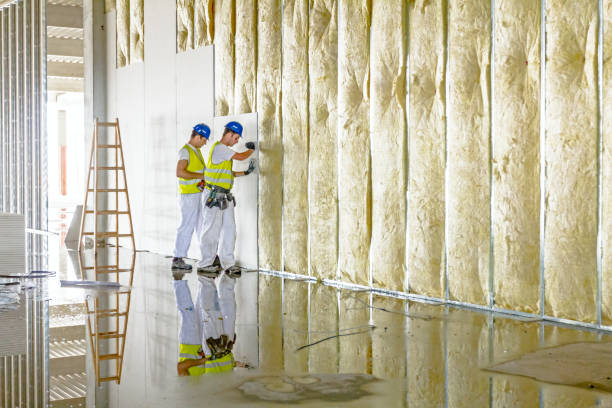 Insulation Repair Services in Columbus, NC